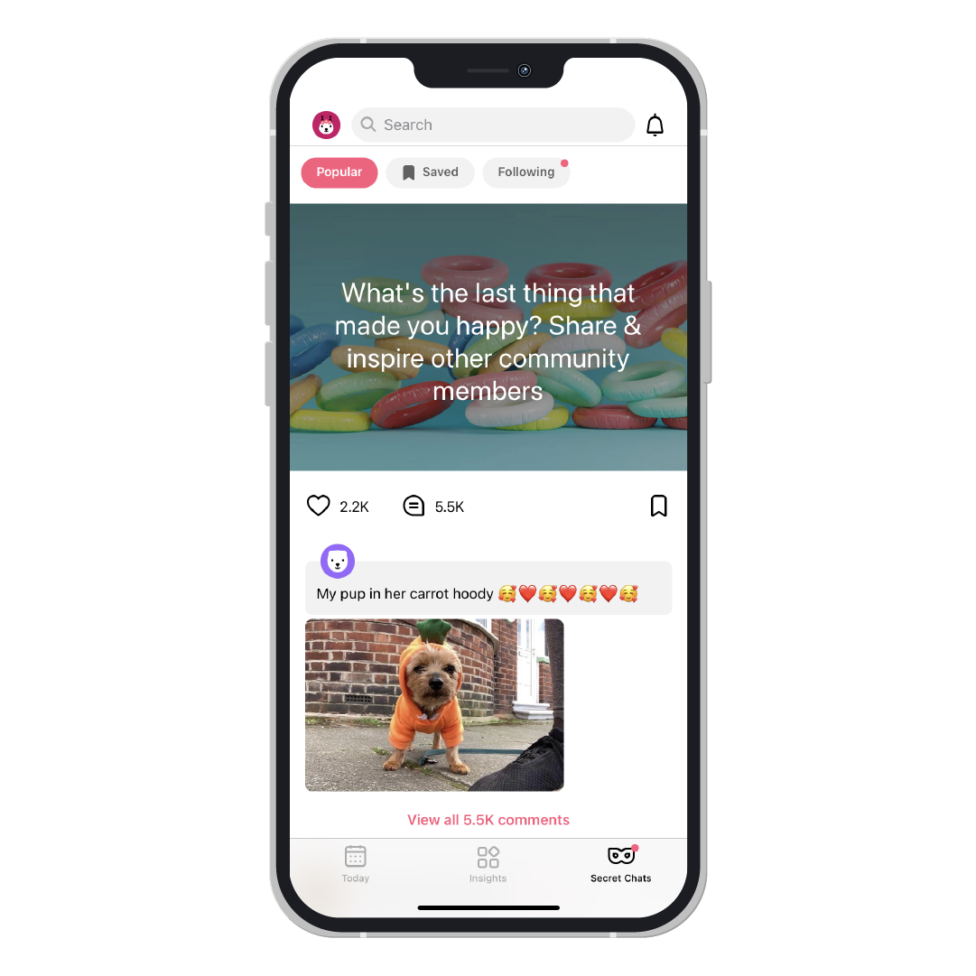 Flo Secret Chats.png