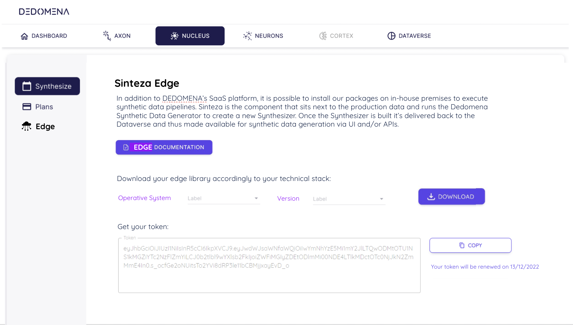 DEDOMENA SYNTHETIC DAYA Demo 2.png