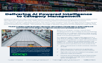 Houston Analytics - Products, Competitors, Financials, Employees ...